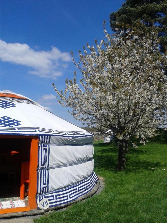 Yourte Nomade-Lodge Les Ecrennes Oda fotoğraf